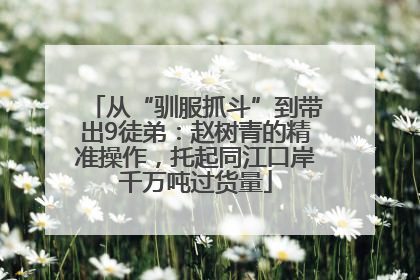 从“驯服抓斗”到带出9徒弟：赵树青的精准操作，托起同江口岸千万吨过货量