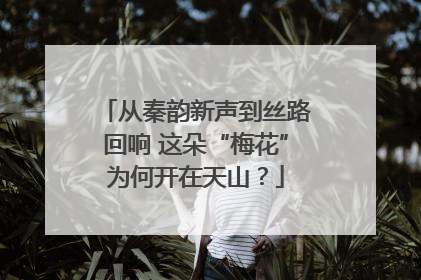 从秦韵新声到丝路回响 这朵“梅花”为何开在天山？