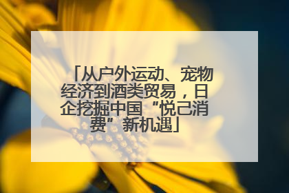 从户外运动、宠物经济到酒类贸易，日企挖掘中国“悦己消费”新机遇