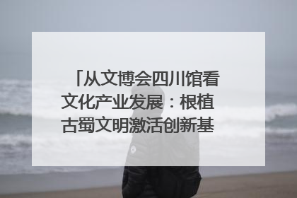 从文博会四川馆看文化产业发展：根植古蜀文明激活创新基因｜文博向“新”