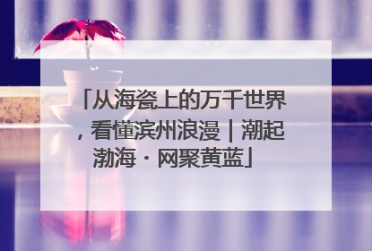 从海瓷上的万千世界，看懂滨州浪漫｜潮起渤海・网聚黄蓝