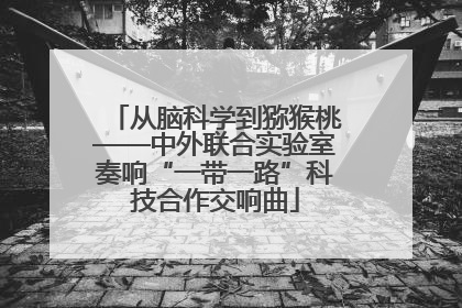 从脑科学到猕猴桃——中外联合实验室奏响“一带一路”科技合作交响曲