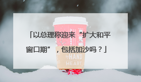 以总理称迎来“扩大和平窗口期”，包括加沙吗？