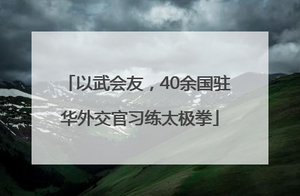 以武会友，40余国驻华外交官习练太极拳
