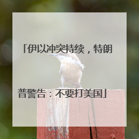 伊以冲突持续，特朗普警告：不要打美国
