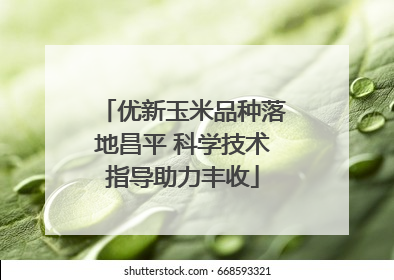 优新玉米品种落地昌平 科学技术指导助力丰收