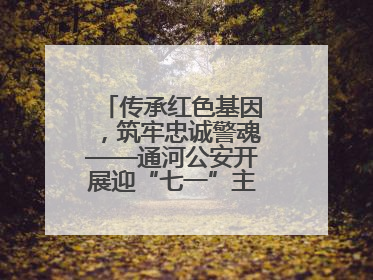 传承红色基因，筑牢忠诚警魂——通河公安开展迎“七一”主题党日活动