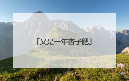 又是一年杏子肥