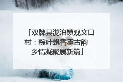 双牌县泷泊镇观文口村：粽叶飘香承古韵 乡情凝聚展新篇