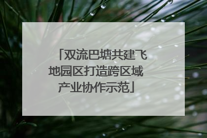双流巴塘共建飞地园区打造跨区域产业协作示范