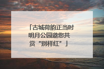 古城荷韵正当时 明月公园邀您共赏“别样红”