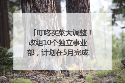 叮咚买菜大调整！改组10个独立事业部，计划在5月完成App端全面改版
