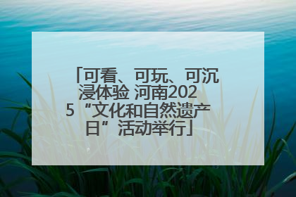 可看、可玩、可沉浸体验 河南2025“文化和自然遗产日”活动举行