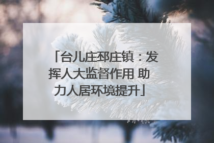 台儿庄邳庄镇：发挥人大监督作用 助力人居环境提升