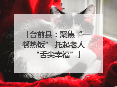 台前县：聚焦“一餐热饭” 托起老人“舌尖幸福”