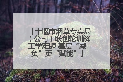 十堰市烟草专卖局（公司）联创轮训解工学难题 基层“减负”更“赋能”