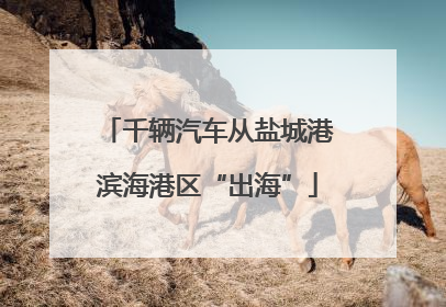 千辆汽车从盐城港滨海港区“出海”