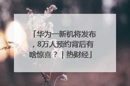 华为一新机将发布，8万人预约背后有啥惊喜？｜热财经