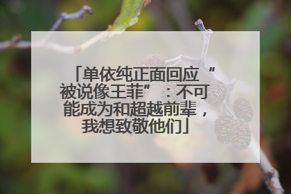 单依纯正面回应“被说像王菲”：不可能成为和超越前辈，我想致敬他们