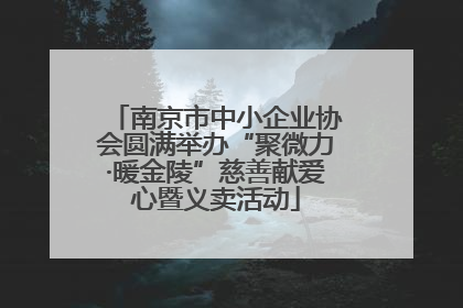 南京市中小企业协会圆满举办“聚微力·暖金陵”慈善献爱心暨义卖活动