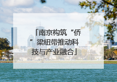 南京构筑“侨”梁纽带推动科技与产业融合