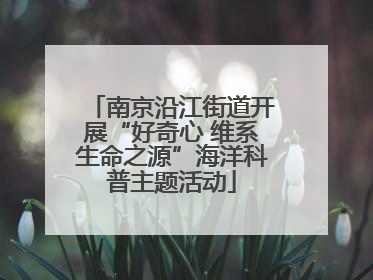 南京沿江街道开展“好奇心 维系生命之源”海洋科普主题活动