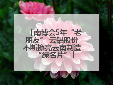 南博会5年“老朋友” 云铝股份不断擦亮云南制造“绿名片”