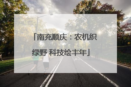 南充顺庆：农机织绿野 科技绘丰年