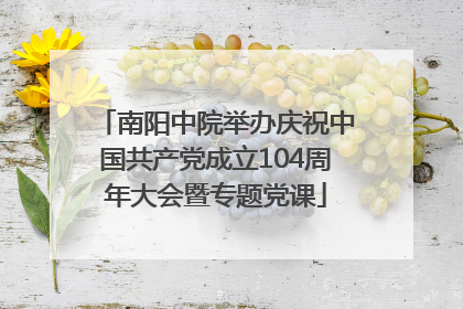 南阳中院举办庆祝中国共产党成立104周年大会暨专题党课