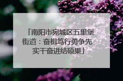 南阳市宛城区五里堡街道：奋楫笃行勇争先 实干奋进结硕果