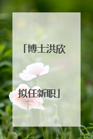 博士洪欣拟任新职