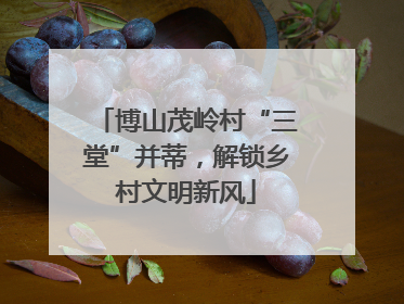 博山茂岭村“三堂”并蒂，解锁乡村文明新风