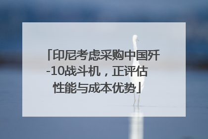 印尼考虑采购中国歼-10战斗机，正评估性能与成本优势