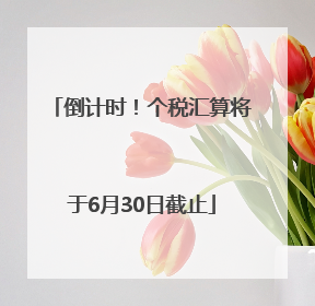 倒计时！个税汇算将于6月30日截止
