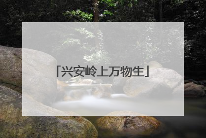 兴安岭上万物生