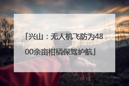 兴山：无人机飞防为4800余亩柑橘保驾护航