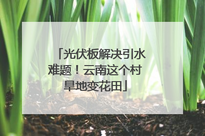 光伏板解决引水难题！云南这个村旱地变花田