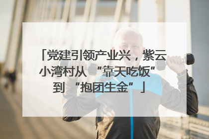 党建引领产业兴，紫云小湾村从 “靠天吃饭” 到 “抱团生金”