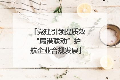党建引领提质效 “局港联动”护航企业合规发展