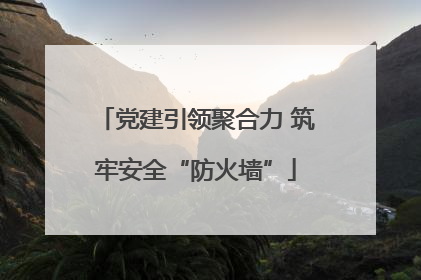 党建引领聚合力 筑牢安全“防火墙”