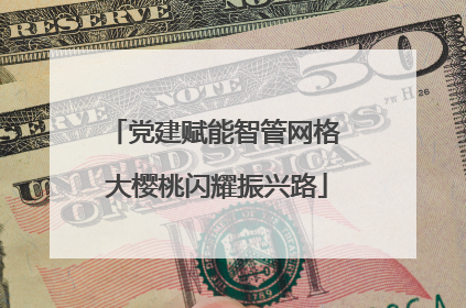 党建赋能智管网格 大樱桃闪耀振兴路