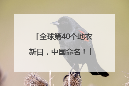 全球第40个地衣新目，中国命名！