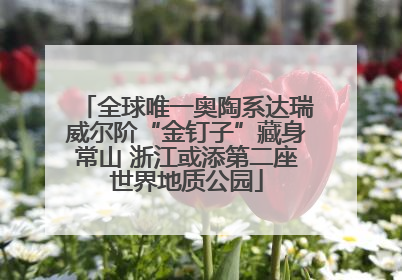 全球唯一奥陶系达瑞威尔阶“金钉子”藏身常山 浙江或添第二座世界地质公园