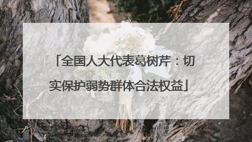 全国人大代表葛树芹：切实保护弱势群体合法权益