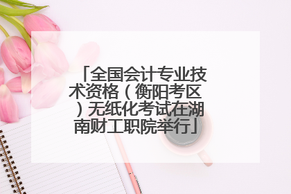 全国会计专业技术资格（衡阳考区）无纸化考试在湖南财工职院举行