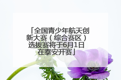 全国青少年航天创新大赛（综合赛区）选拔赛将于6月1日在泰安开赛