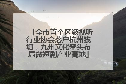 全市首个区级视听行业协会落户杭州钱塘，九州文化牵头布局微短剧产业高地