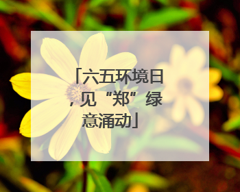 六五环境日，见“郑”绿意涌动