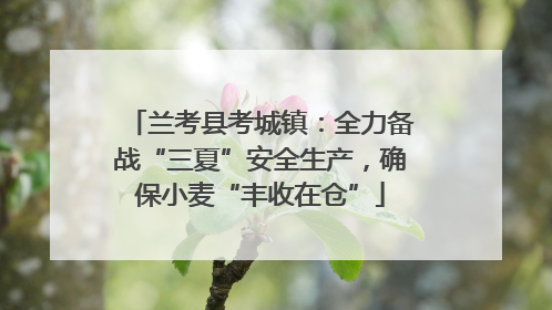 兰考县考城镇：全力备战“三夏”安全生产，确保小麦“丰收在仓”