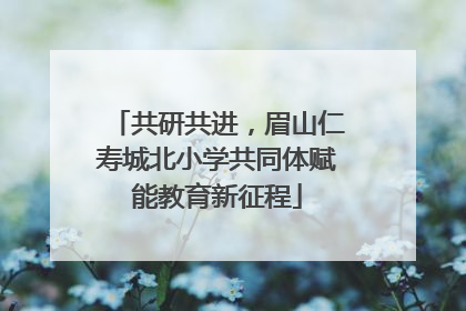 共研共进，眉山仁寿城北小学共同体赋能教育新征程